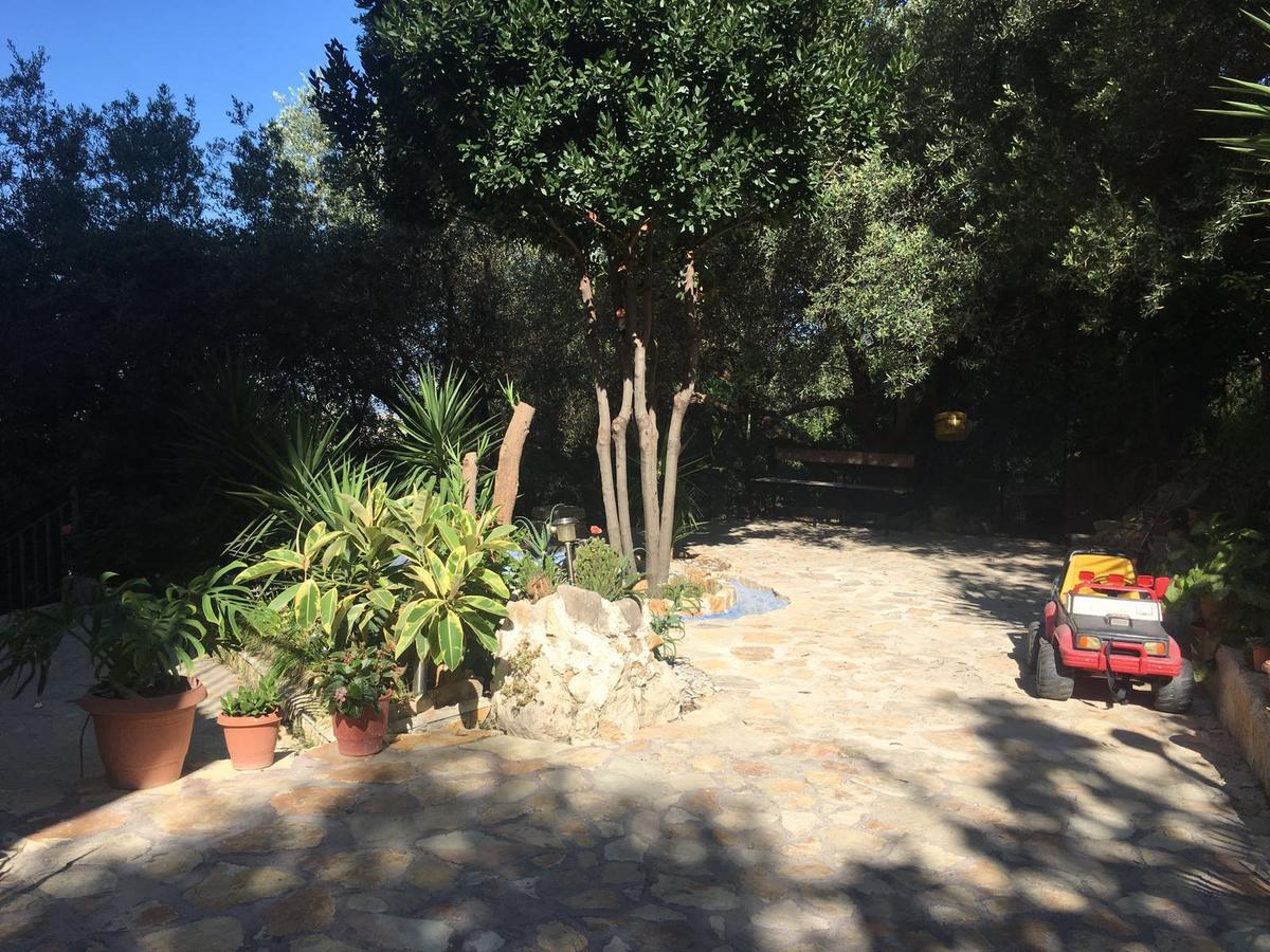 Vila Oliven Vlorë Exterior foto