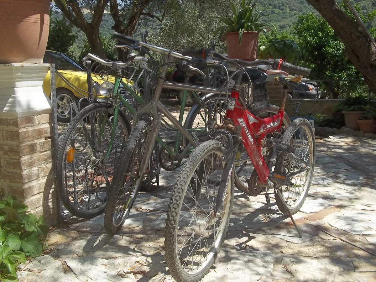 Vila Oliven Vlorë Exterior foto